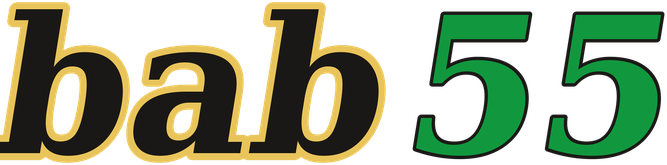 bab55 logo